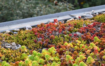 the cost of Oaks green roof installation